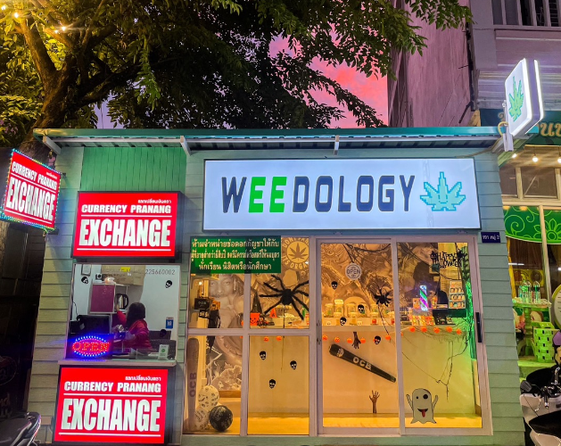 Weedology Cannabis Culture Aonang | weed aonang